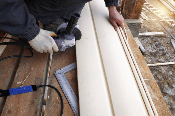 Best Custom Trim and Detailing for Siding  in Volga, SD