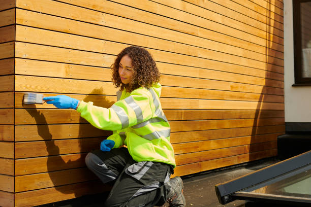 Best Brick Veneer Siding  in Volga, SD